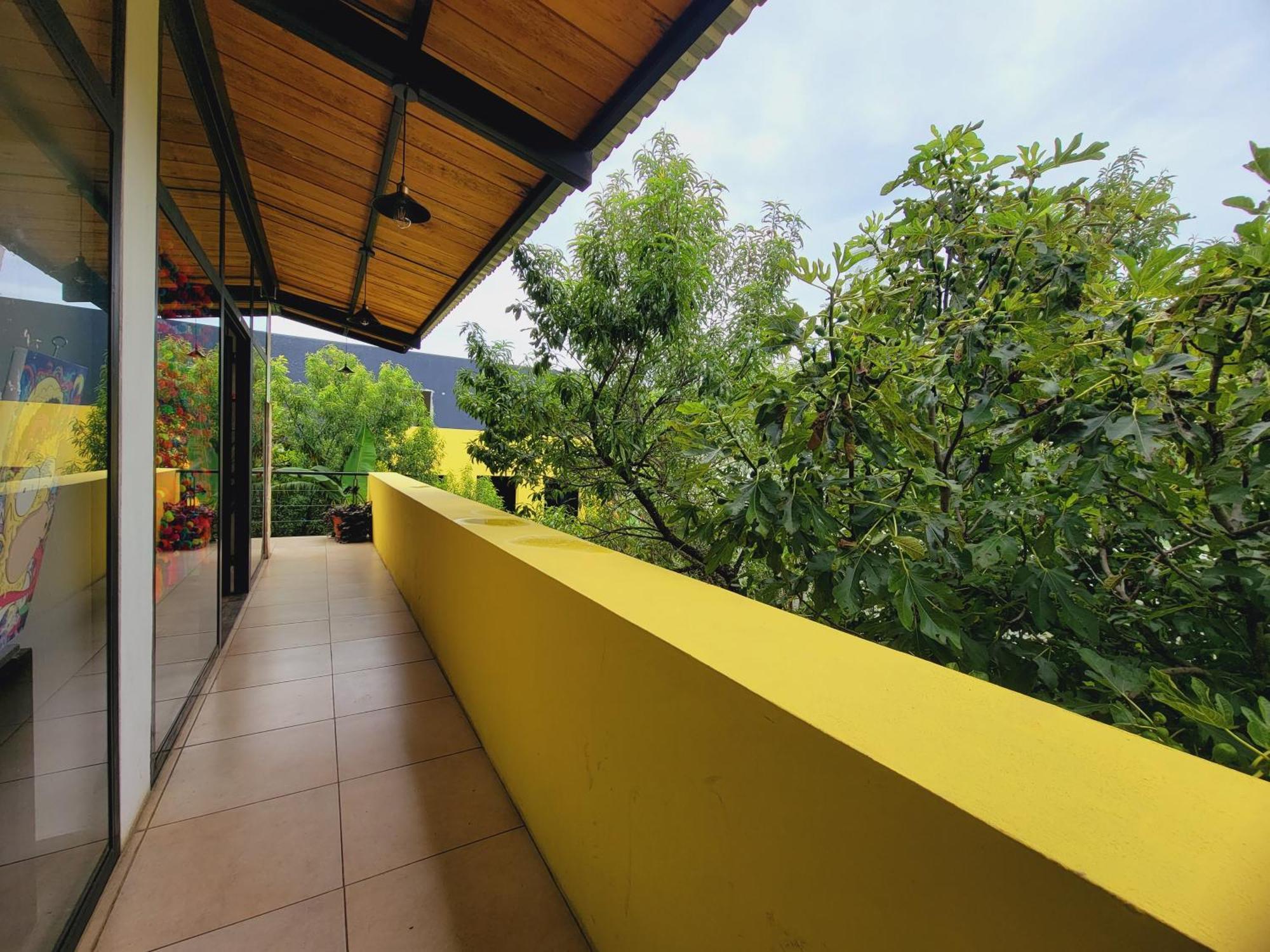 מלון San Cristóbal de Las Casas Jardines De Luz מראה חיצוני תמונה