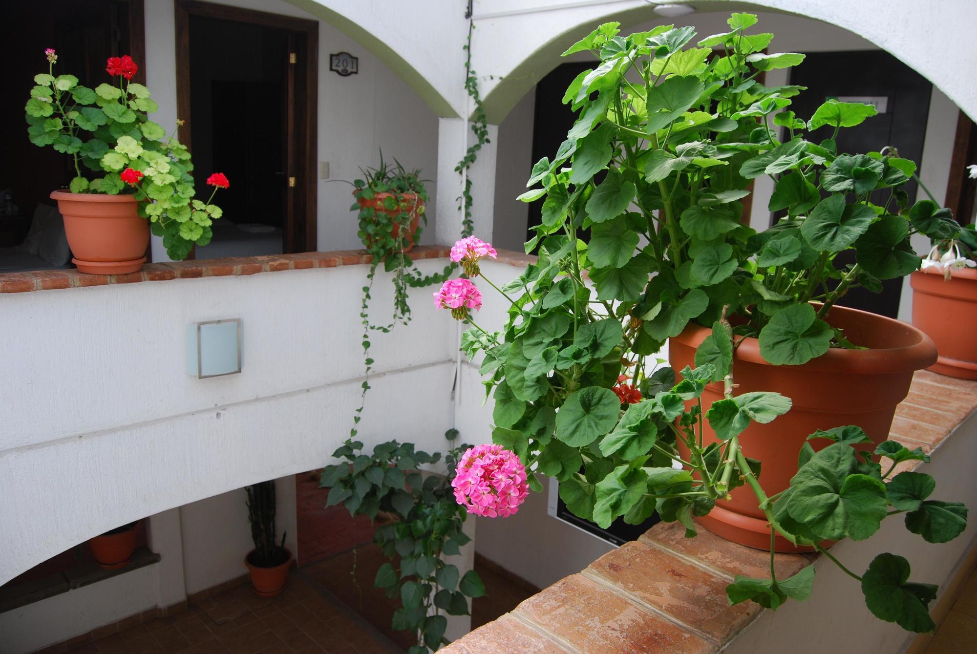 מלון San Cristóbal de Las Casas Jardines De Luz מראה חיצוני תמונה
